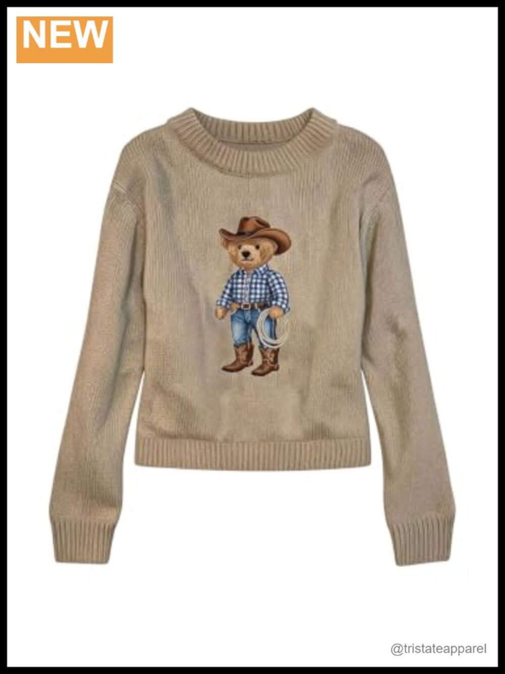 Cute Teddy Bear Graphic Knit Pullover Long Sleeve Crew Neck Sweater